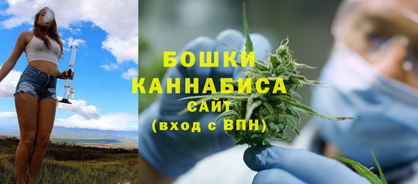 шишки Приозерск