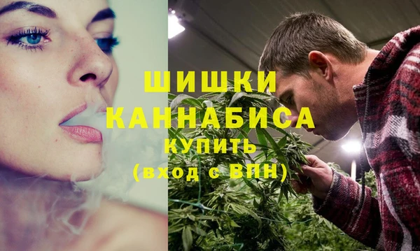 шишки Приозерск