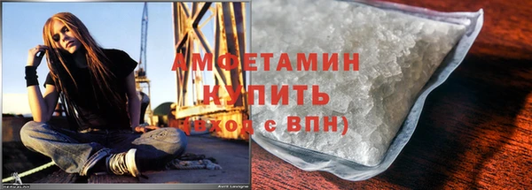 шишки Приозерск