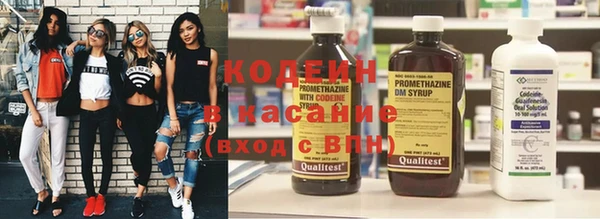 индика Майский