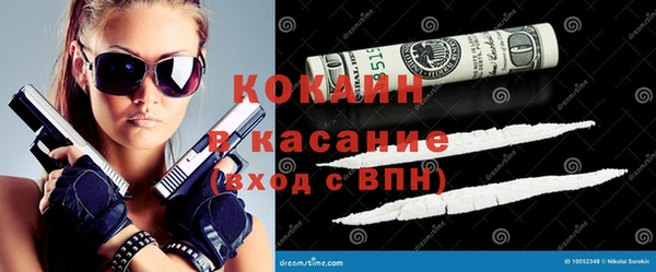 шишки Приозерск