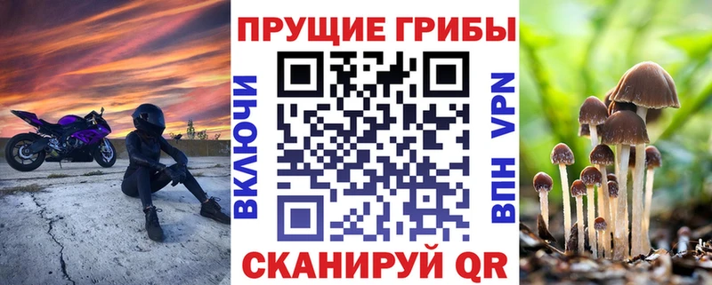 Галлюциногенные грибы Magic Shrooms  Светлогорск 