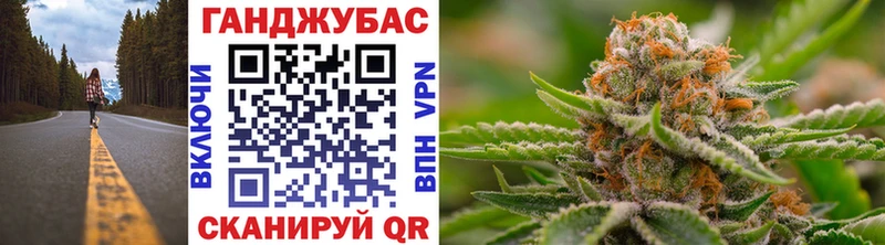 купить   shop клад  Бошки марихуана план  Светлогорск 
